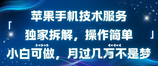 苹果手机技术服务,独家拆解,操作简单,小白可做,月过1W不是梦-网赚副业网