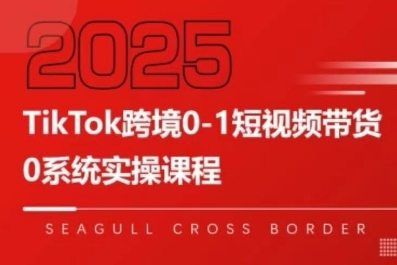 TikTok跨境0-1短视频带货,系统拆解TikTok跨境带货全链路,实现跨境可持续盈利-网赚副业网