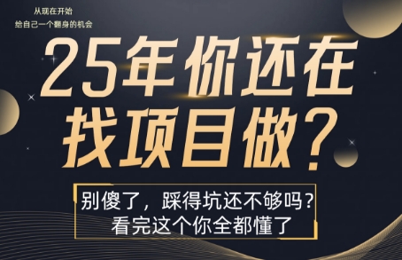 25年,你还在疯狂的找项目吗?别傻了,看完这个你都懂了【揭秘】-网赚副业网