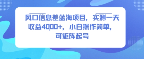 风口信息差蓝海项目,实测一天收益4k+,小白操作简单,可矩阵起号-网赚副业网