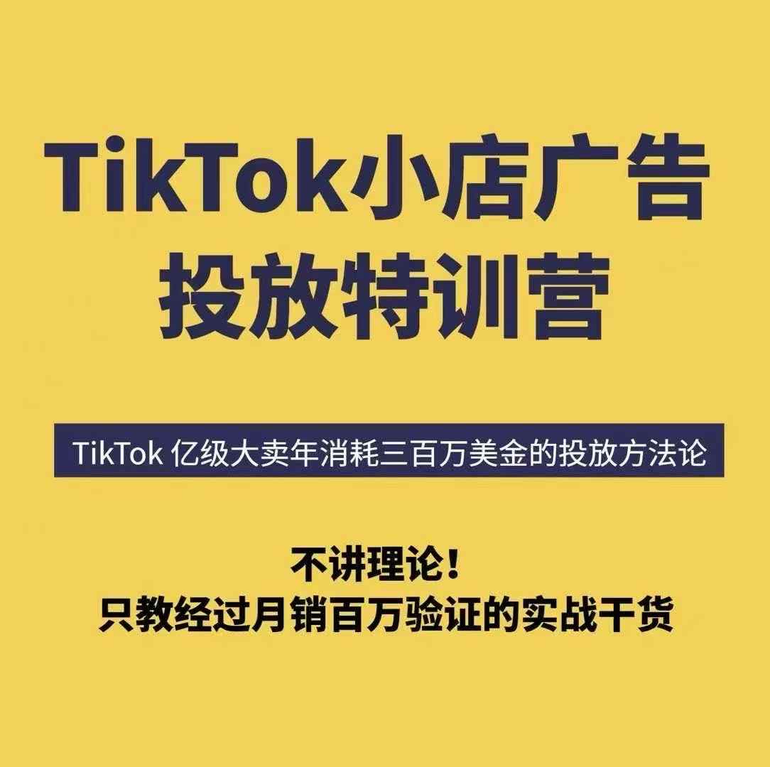 TikTok小店广告投放特训营，6天破局计划专治各种“投不动”，教你经过月销百万验证的实战干货-网赚副业网