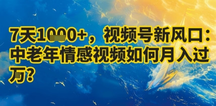 7天收益1k+,视频号新风口:中老年情感视频如何月入过W?-网赚副业网