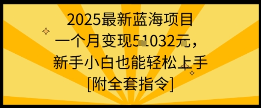 2025最新蓝海项目一个月变现1w+新手小白也能轻松上手【附全套指令】-网赚副业网