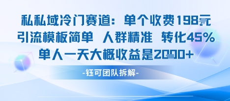 私域冷门赛道单个收费198米引流模板简单人群精准 45%的转化率单人一天大概收益多张-网赚副业网