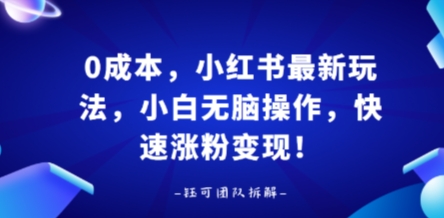 0成本,小红书最新玩法,小白无脑操作,快速涨粉变现-网赚副业网