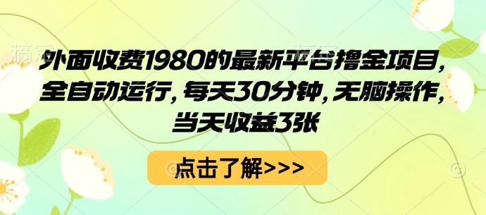 外面收费1980的最新平台撸金项目,全自动运行,每天30分钟,无脑操作,当天收益3张【揭秘】-网赚副业网