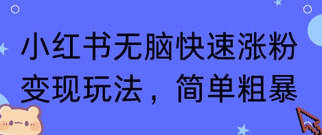 小红书无脑快速涨粉变现玩法,简单粗暴-网赚副业网