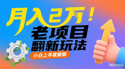 月入2W!老项目翻新玩法,小白上手就能做,非常容易上手-网赚副业网