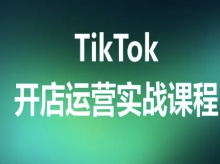 TikTok开店运营实战课程,TK跨境电商实操全流程-网赚副业网