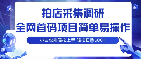 拍店采集调研，全网首码项目，简单易操作， 小白也能轻松上手，多账号操作，轻松日入5张【揭秘】-网赚副业网
