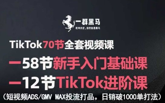 TikTok全套视频课,新手入门+进阶课,短视频ADS-GMV MAX投流打品,日销破1000单打法-网赚副业网