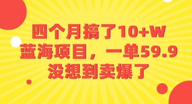 四个月搞了10+W的蓝海项目,一单59.9米,没想到卖爆了-网赚副业网