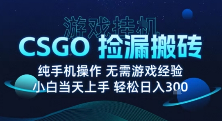 8月最新游戏搬砖,CSGO纯挂G,不需要玩游戏,实现真挂G,月入1W+【揭秘】-网赚副业网