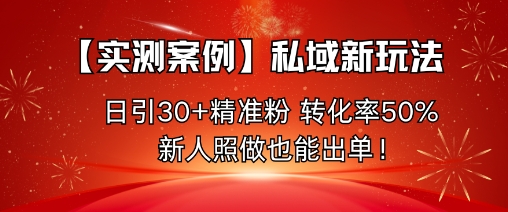 【实测案例】私域新玩法,日引30+精准粉,转化率50%,新人照做也能出单!-网赚副业网