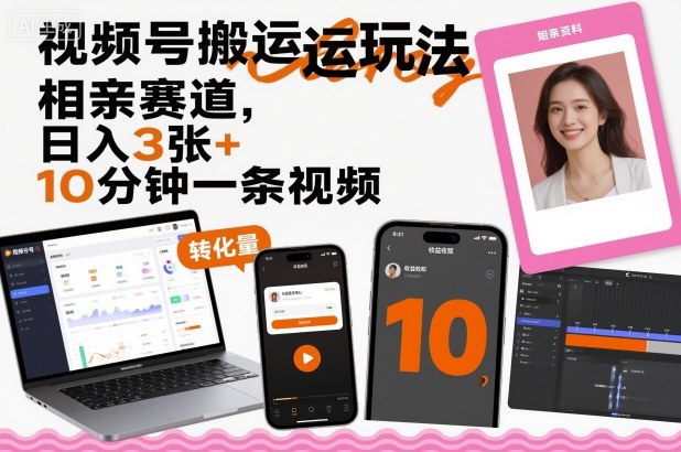 视频号搬运玩法,相亲赛道,日入3张+,10分钟一条视频-网赚副业网