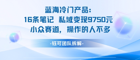 蓝海项目:16条笔记私域变现9750米小众赛道操作的人不多-网赚副业网