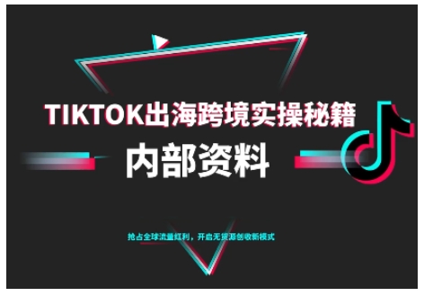TikTok跨境电商0-1搭建运营,TK出海跨境实操秘籍(10月更新)-网赚副业网