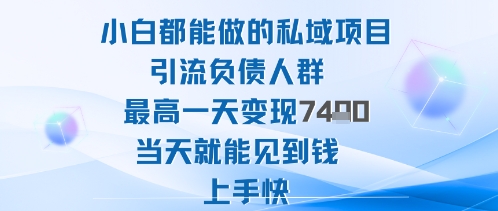2025年小白都能做的私域项目引流负债人群最高一天变现1k+高变现难度低当天就能见到钱上手快-网赚副业网