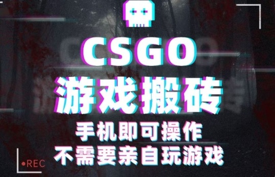 CSGO游戏挂G捡漏,单日扫货5张+,年底小高峰上车可吃肉,手机即可操作,兼职副业创业网创【揭秘】-网赚副业网