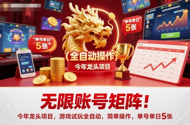无限账号矩阵!今年龙头项目,游戏试玩全自动,简单操作,单号单日5张【揭秘】-网赚副业网