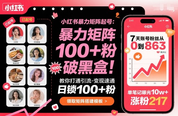 小红书暴力矩阵起号,教你打通引流-变现速通,日锁100+粉,破流量黑盒-网赚副业网