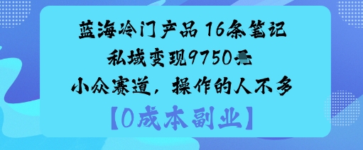 蓝海冷门产品:16条笔记私域变现9750米小众赛道,操作的人不多-网赚副业网