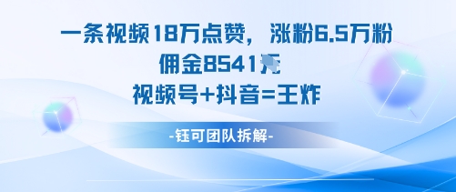 一条视频18W点赞,涨粉6.5W粉佣金8541米,视频号+抖音=王炸-网赚副业网