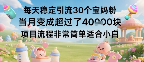 每天稳定引流30个宝妈粉当月变成超过了1W+项目流程非常简单适合小白-网赚副业网