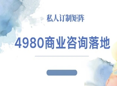4980商业咨询师落地课程-ip运营高客单教程-网赚副业网