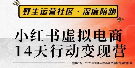 小红书虚拟电商14天变现训练营3.0,虚拟产品,2025年普通人在小红书最后的搞钱机会-网赚副业网