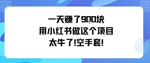 一天挣了9张用小红书做这个项目太牛了,空手套-网赚副业网