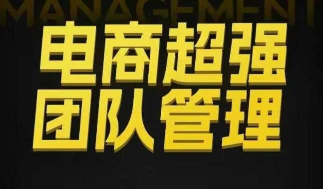 电商超强团队管理,组织绩效,到用人执行,分权合伙-网赚副业网