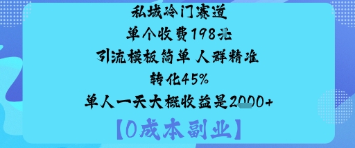 私域冷门赛道:单个收费198米引流模板简单人群精准转化45%单人一天大概收益是1k+-网赚副业网