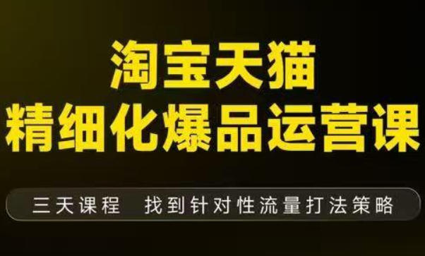 淘宝天猫精细化爆品运营(9月12-14杭州线下课),全方位拆解爆品打造逻辑【音频+字幕+文档】-网赚副业网