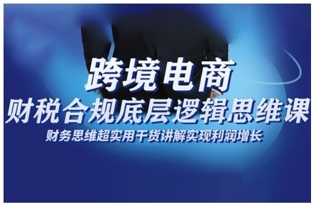 跨境电商财稅合规底层逻辑思维课,财务思维超实用于货讲解实现利润增长-网赚副业网