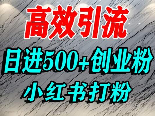 怎么打创业粉？小红书预算3000项目推荐引流精准创业粉，单人操作日引500+精准创业粉-网赚副业网