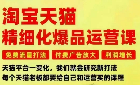淘宝天猫精细化爆品运营课,免费流量打法-付费广告放大-利润增长-三大核心痛点,一次全部解决-网赚副业网