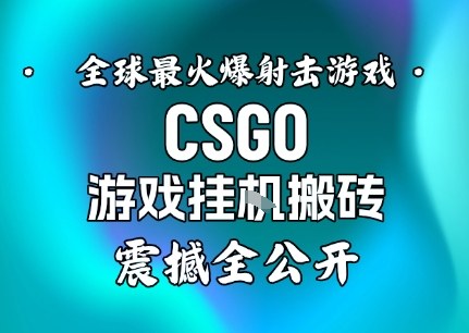 【年底大揭秘】基于全球最火爆的射击CSGO游戏挂G搬砖,日入5张+,震撼公开-网赚副业网