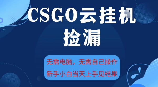 CSGO云挂G全自动捡漏,最新独家玩法,无需电脑操作,新手小白日入5张+【揭秘】-网赚副业网