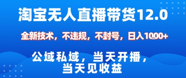 淘宝无人直播12.0,公域私域技术,不封号,不违规布局双十一流量风口,日入1k(独家技术)【揭秘】-网赚副业网