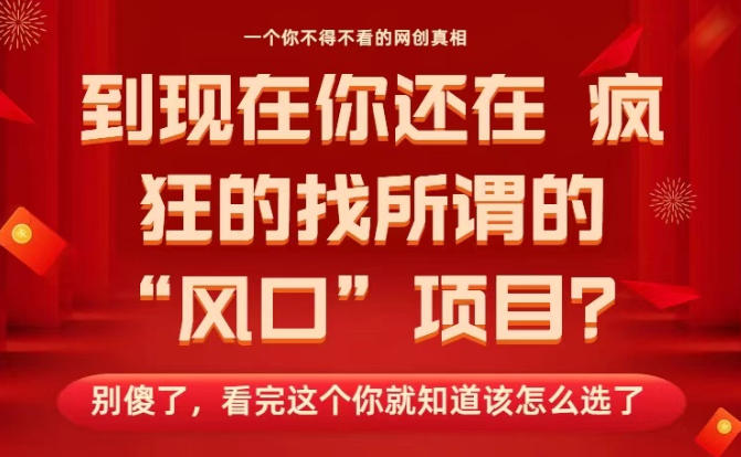 马上26年了,你还在找所谓的风口项目?别傻了,看完这个你全都懂了!【揭秘】-网赚副业网