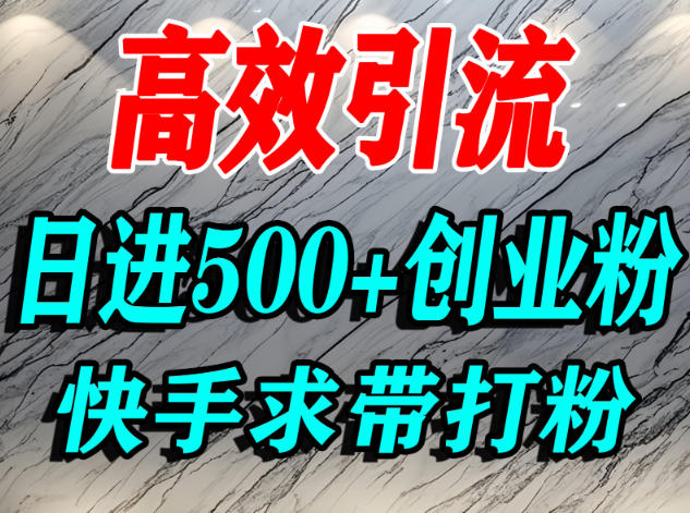 怎么打创业粉?快手求带视角精准引流创业粉,宝妈、学生群体日进500+精准流量-网赚副业网