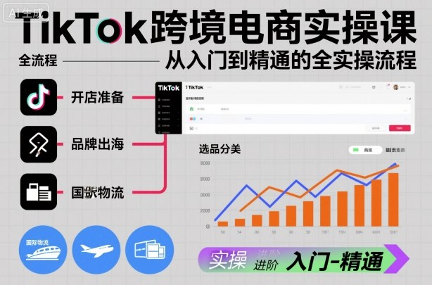 TikTok跨境电商实操课,从入门到精通的全实操流程-网赚副业网