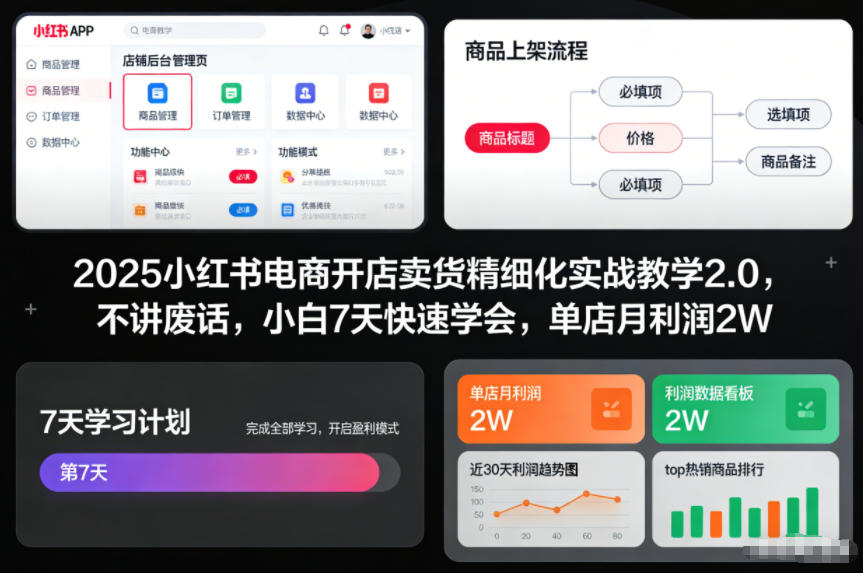 2025小红书电商开店卖货精细化实战教学2.0，不讲废话，小白7天快速学会，单店月利润2W-网赚副业网