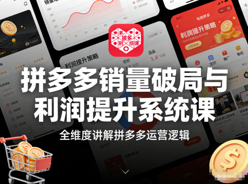 拼多多销量破局与利润提升系统课,全维度讲解拼多多运营逻辑-网赚副业网