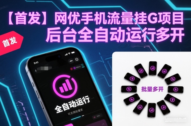 【首发】网优手机流量挂G项目,后台全自动运行,可无限批量多开【揭秘】-网赚副业网