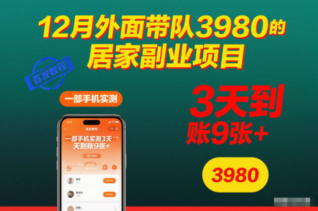 12月外面带队3980的居家副业项目,一部手机实测3天到账9张+,首发教程【揭秘】-网赚副业网