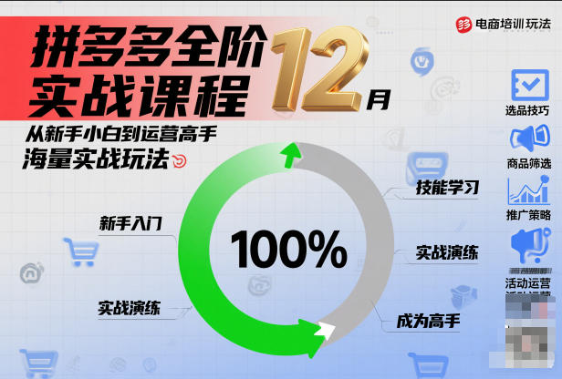 拼多多全阶实战课程12月,从新手小白到运营高手,海量实战玩法-网赚副业网