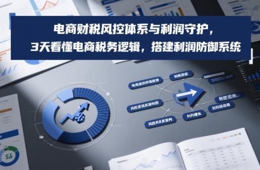 电商财税风控体系与利润守护,3天看懂电商税务逻辑,搭建利润防御系统-网赚副业网