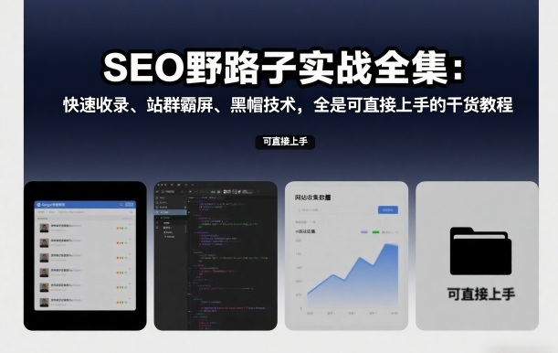 SEO野路子实战全集:快速收录、站群霸屏、黑帽技术,全是可直接上手的干货教程-网赚副业网